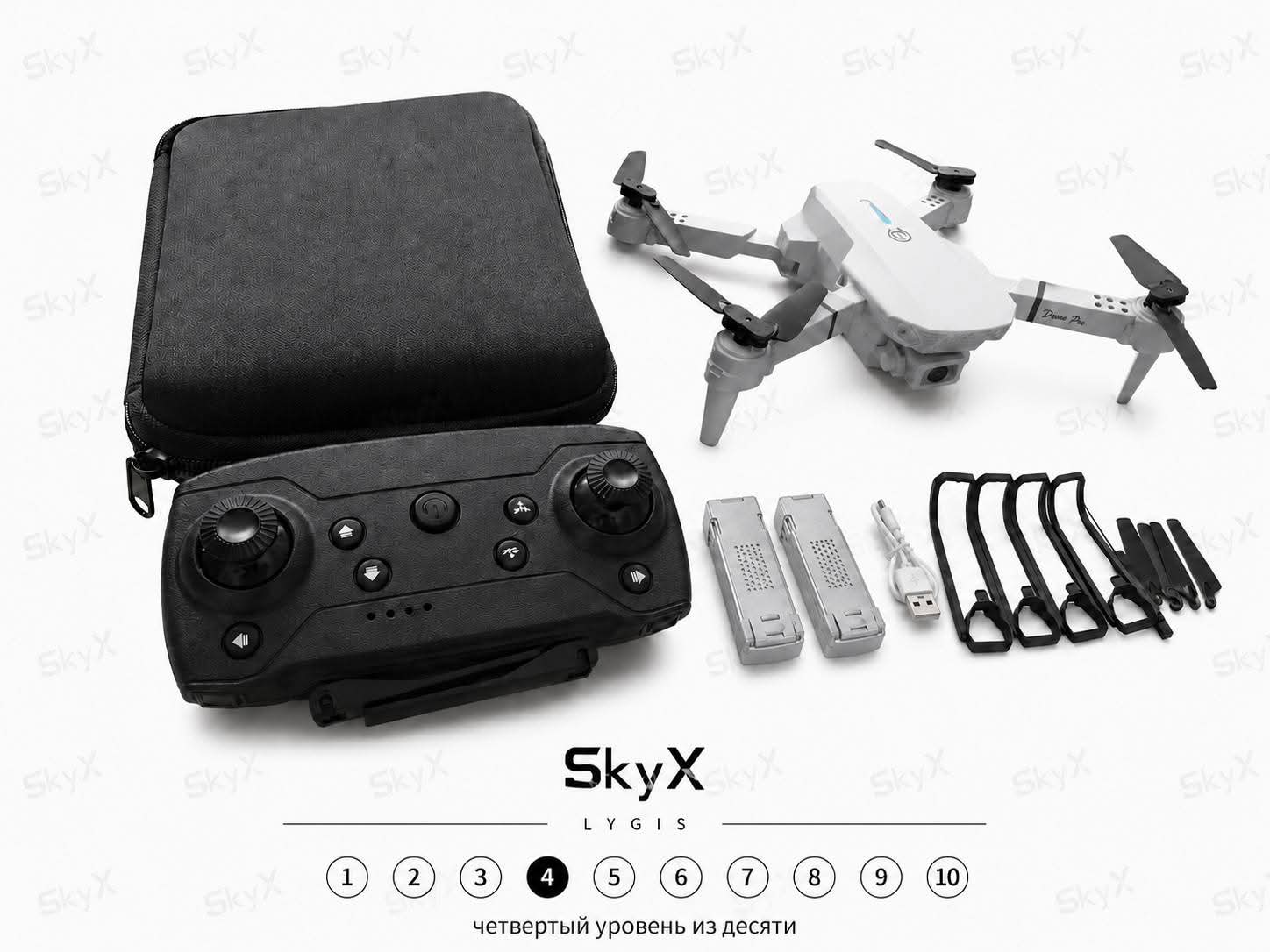 Dronas SkyX Entry